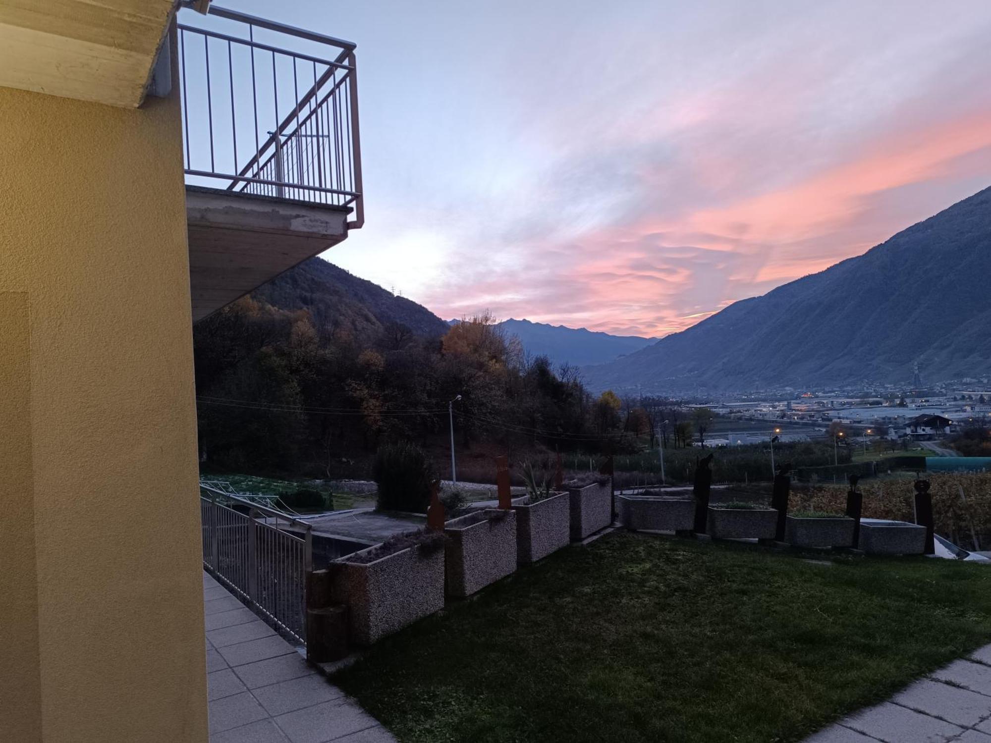 Pisolo Selvaggio Tirano Quarto foto