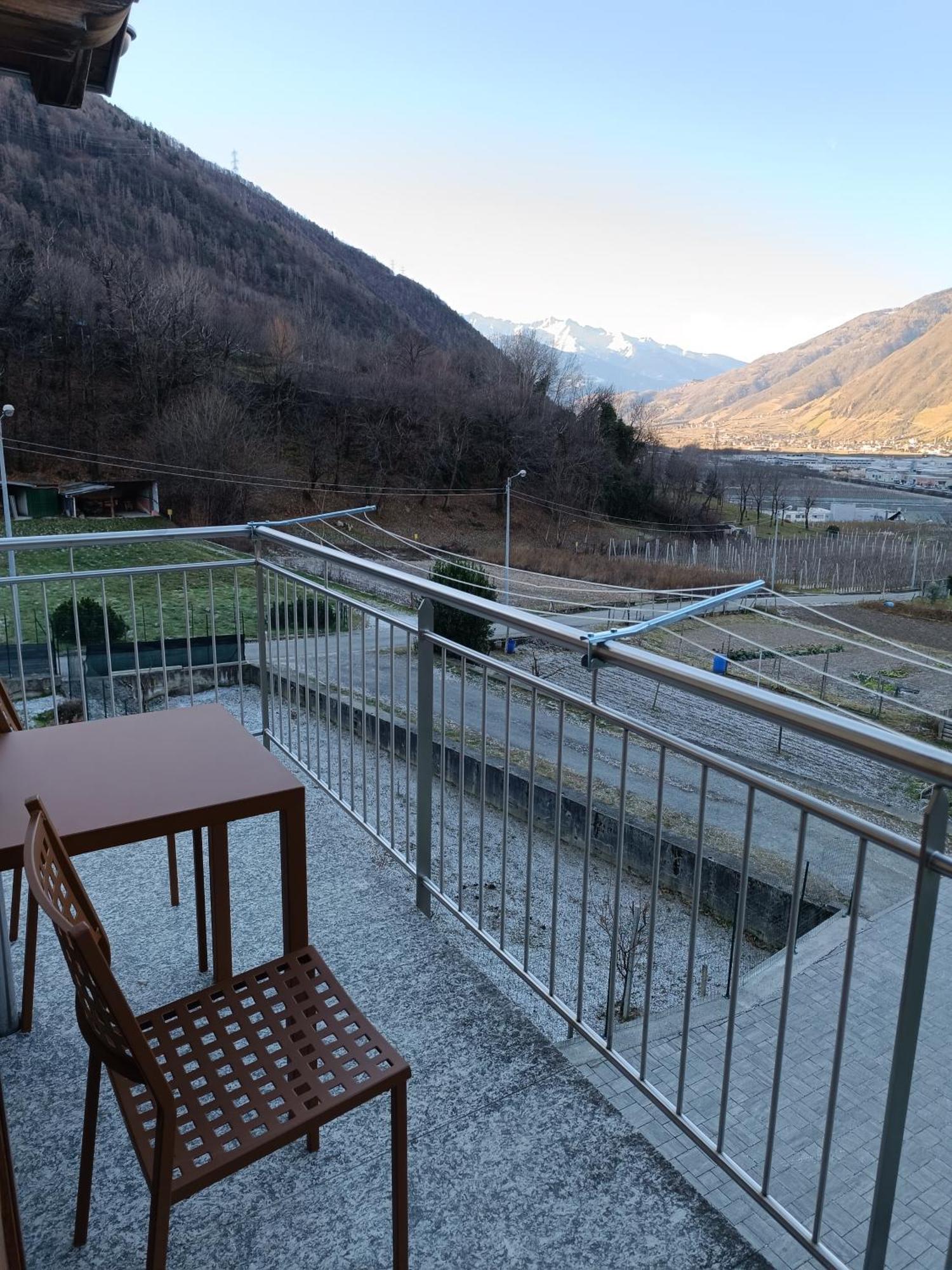 Pisolo Selvaggio Tirano Quarto foto